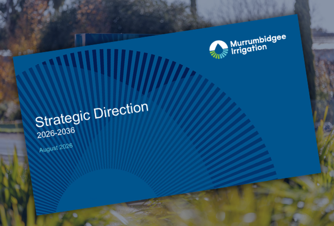 Strategic Direction_mailchimp
